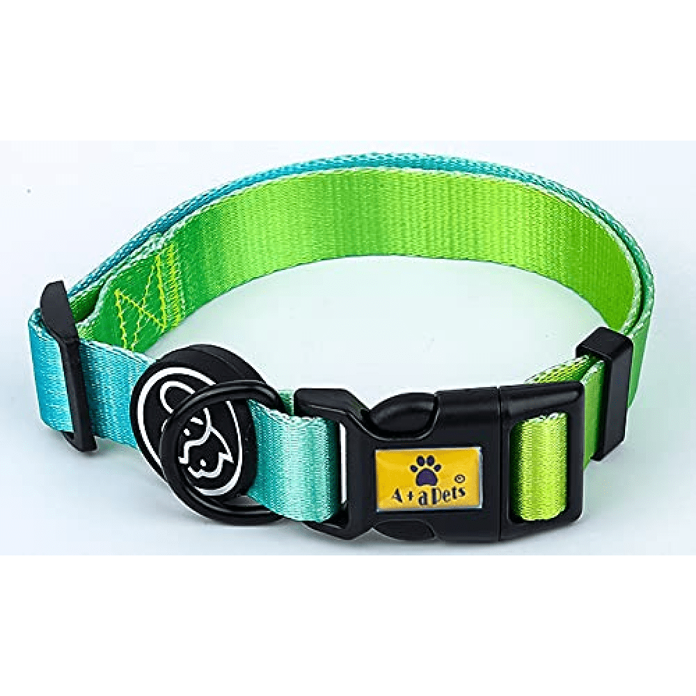 A Plus A Pets Skin Friendly Gradient Design Collar for Pets (Green)