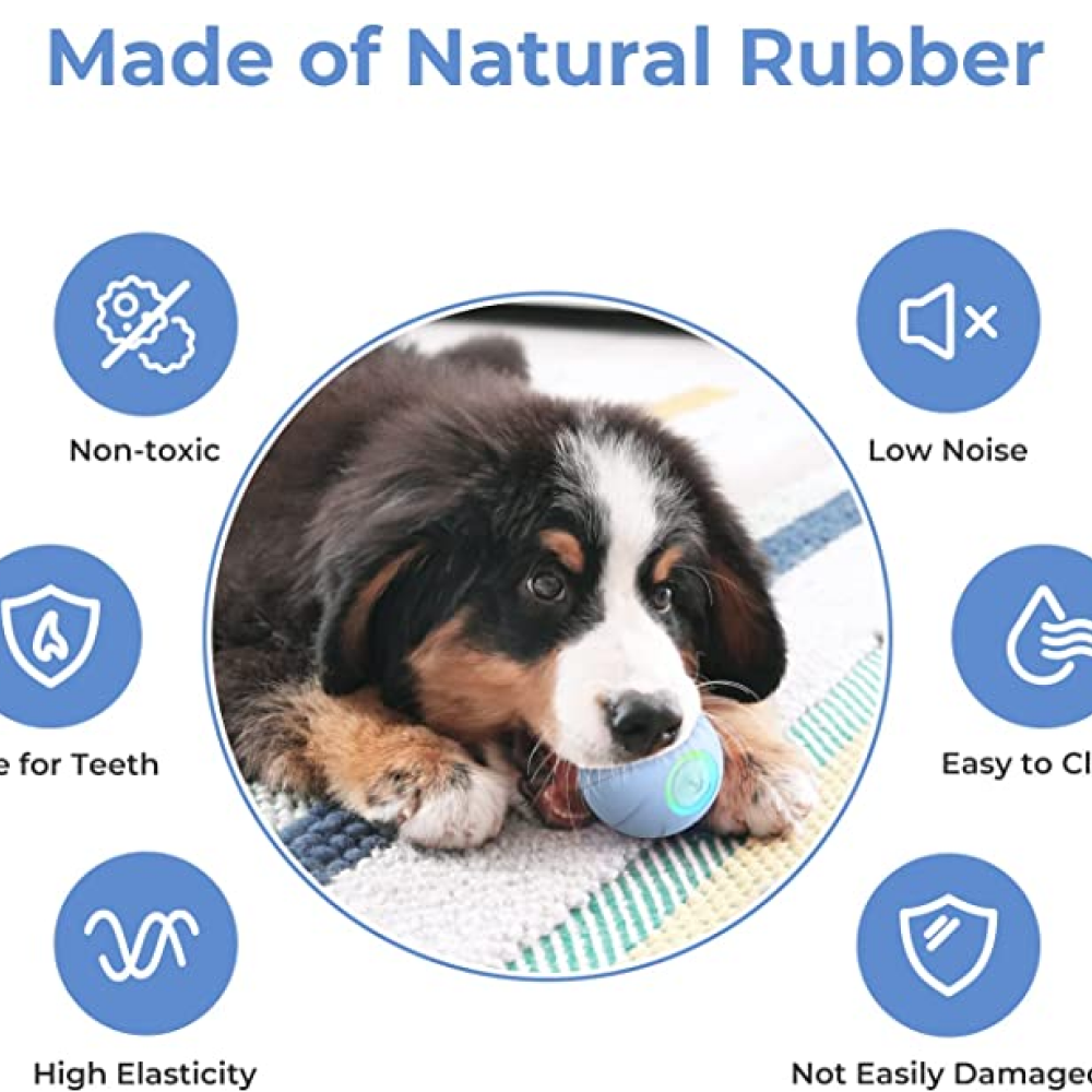 Cheerble Wicked Ball SE for Dogs