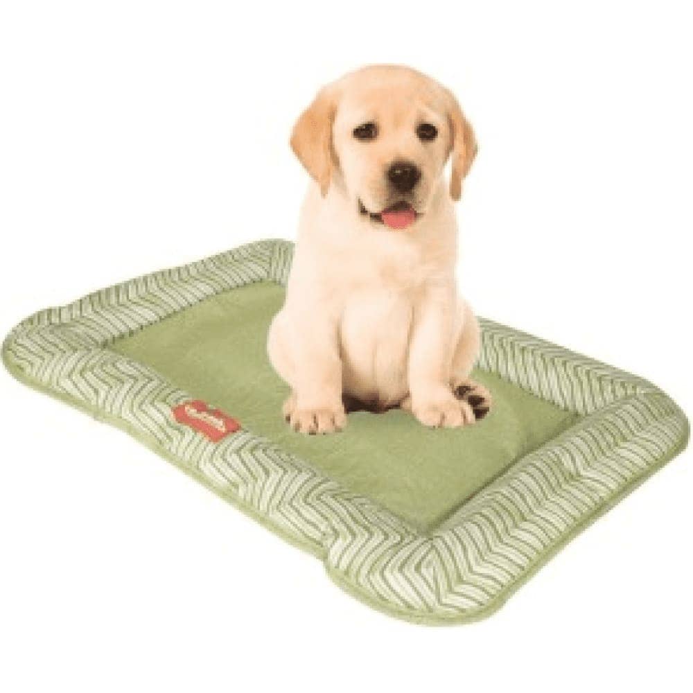 Emily Pets Square Shape Bed for Pets (Green)
