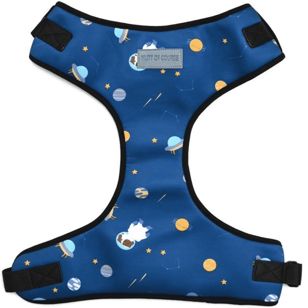 Suit Up for Supertails Birthday Blash for Dogs