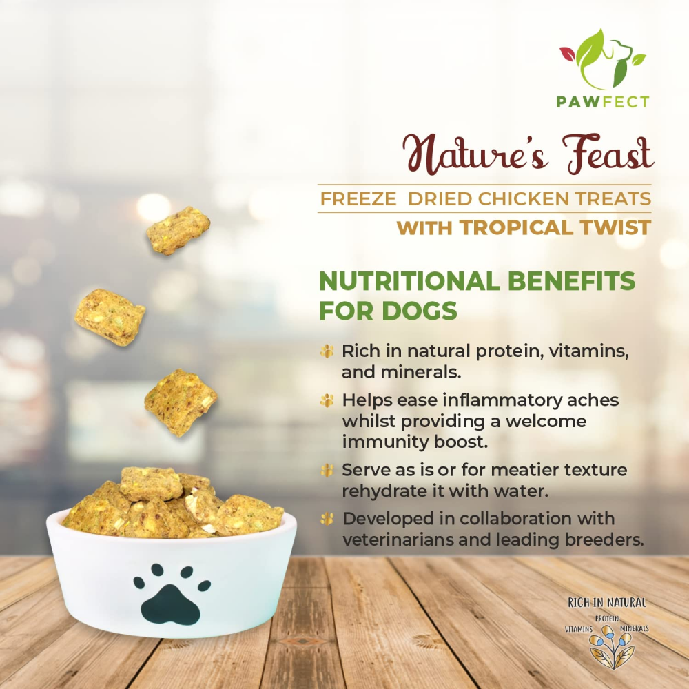 Pawfect Natures Feast Tropical Twist Dog Treats