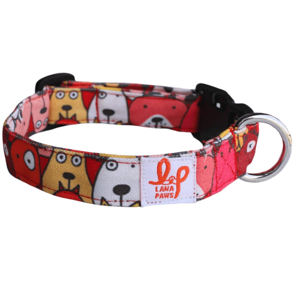 Lana Paws Googly Eyes Dog Collar