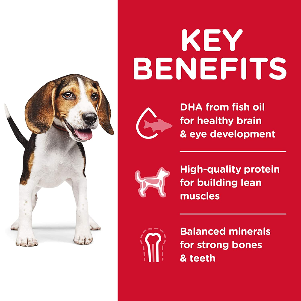 Hills Science Diet Chicken Meal & Barley Recipe Puppy Dry Food