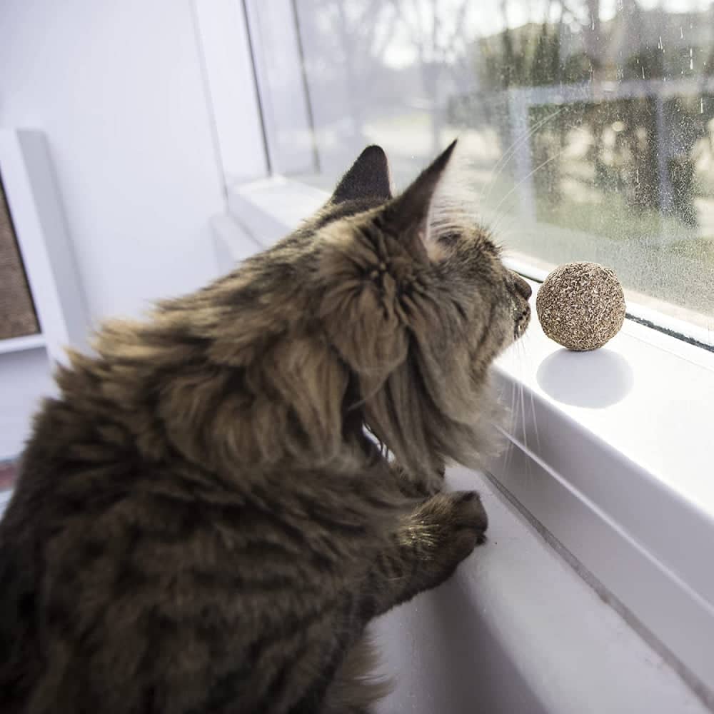 Smarty Kat Catnip Kiss Compressed Catnip Ball Toy for Cats