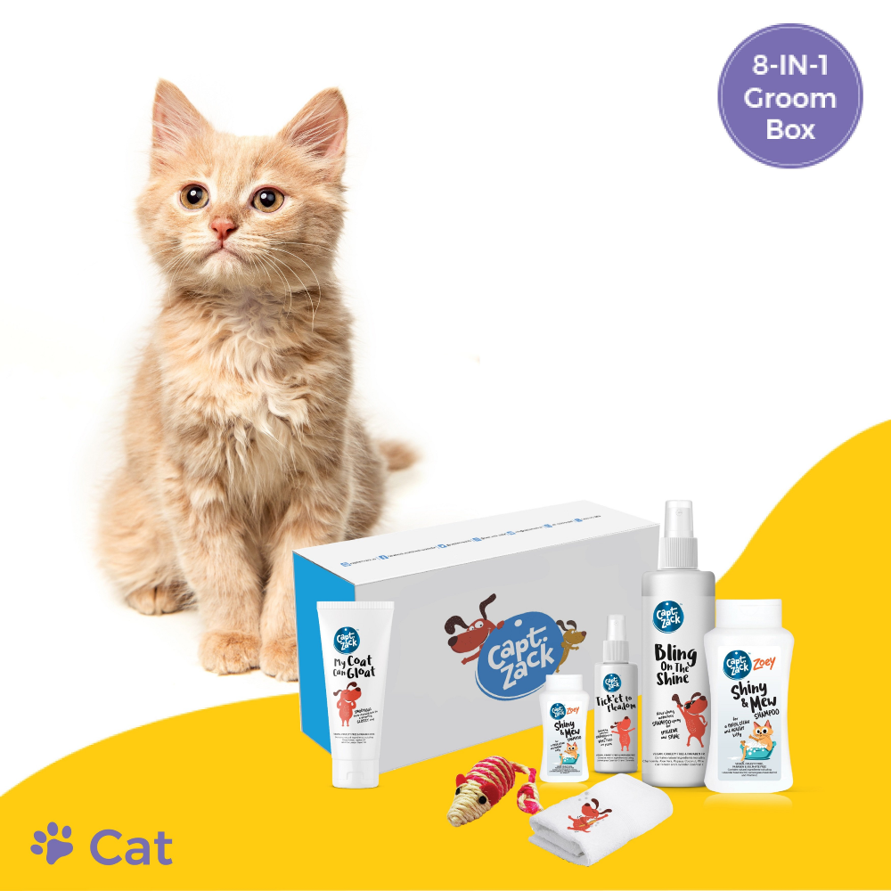 Captain Zack The Cat Groom Box for Cats