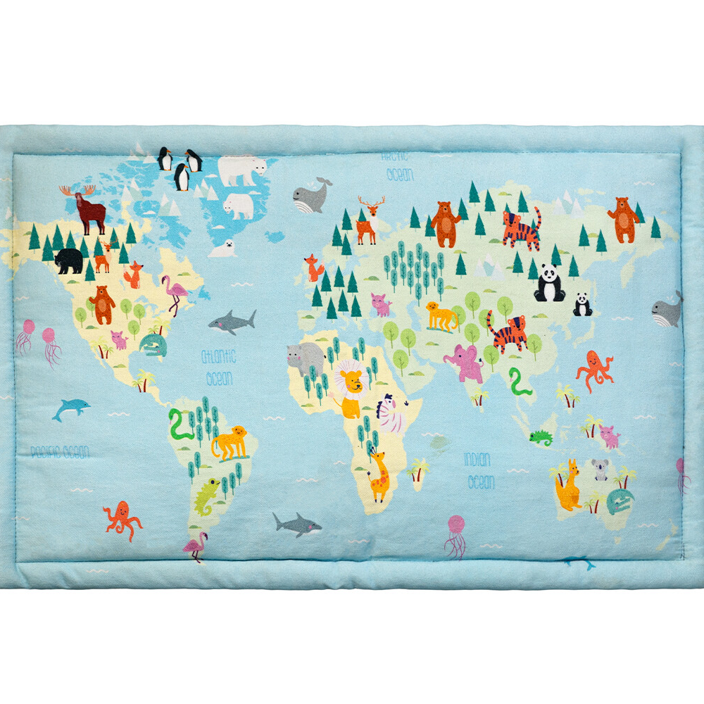 FurBuddies Fur Map Mat for Pets