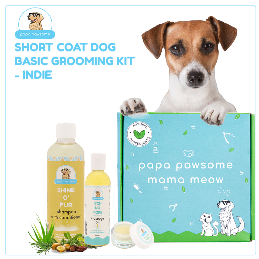 Papa Pawsome Short Coat Basic Grooming Kit (Indie)