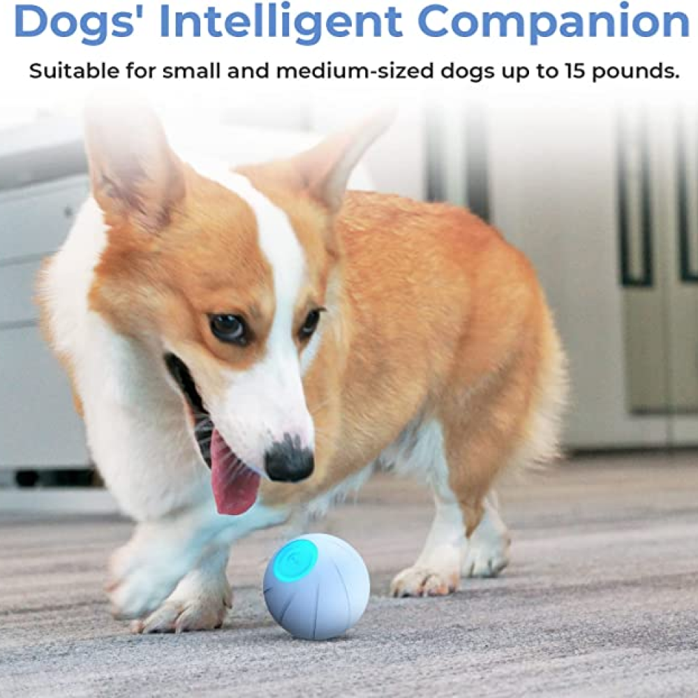 Cheerble Wicked Ball SE for Dogs