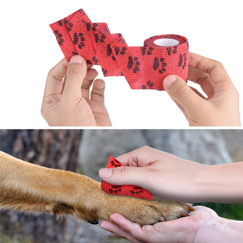 Pets Empire Paws Print Bandage for Pets (Assorted)