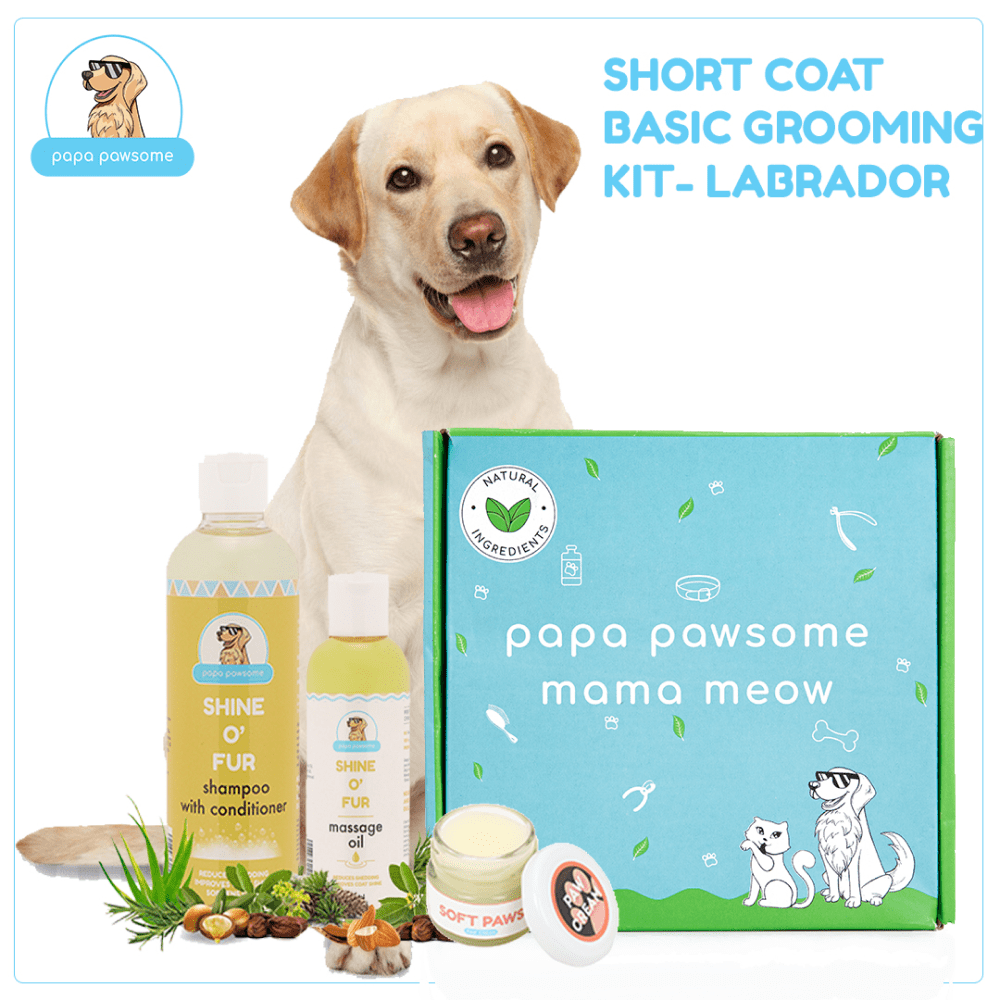 Papa Pawsome Short Coat Basic Grooming Kit (Labrador)