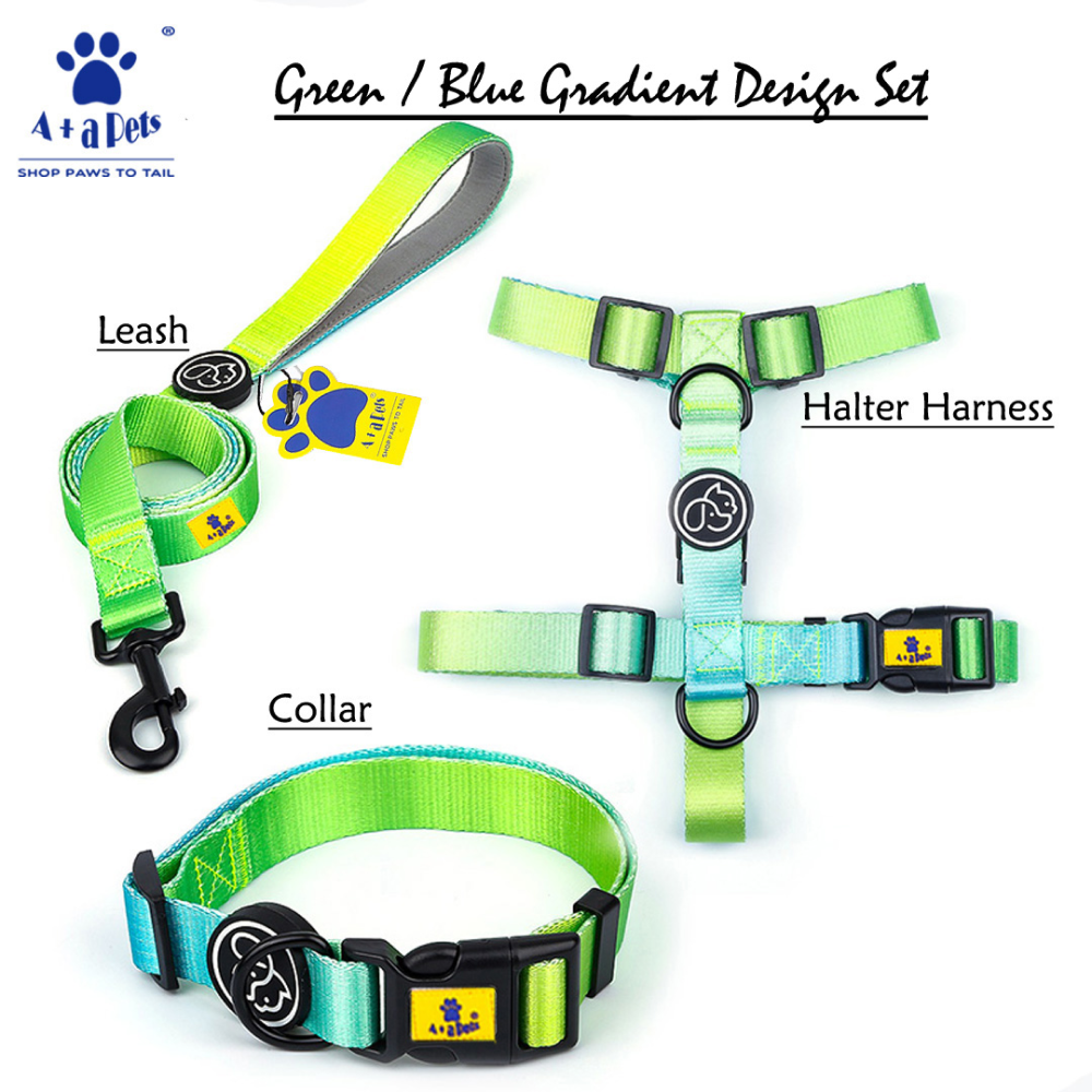 A Plus A Pets Skin Friendly Gradient Design Collar for Pets (Green)