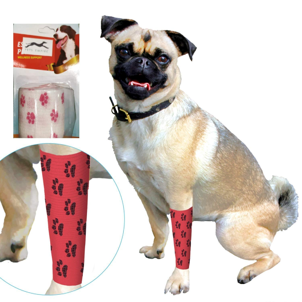 Pets Empire Paws Print Bandage for Pets (Assorted)