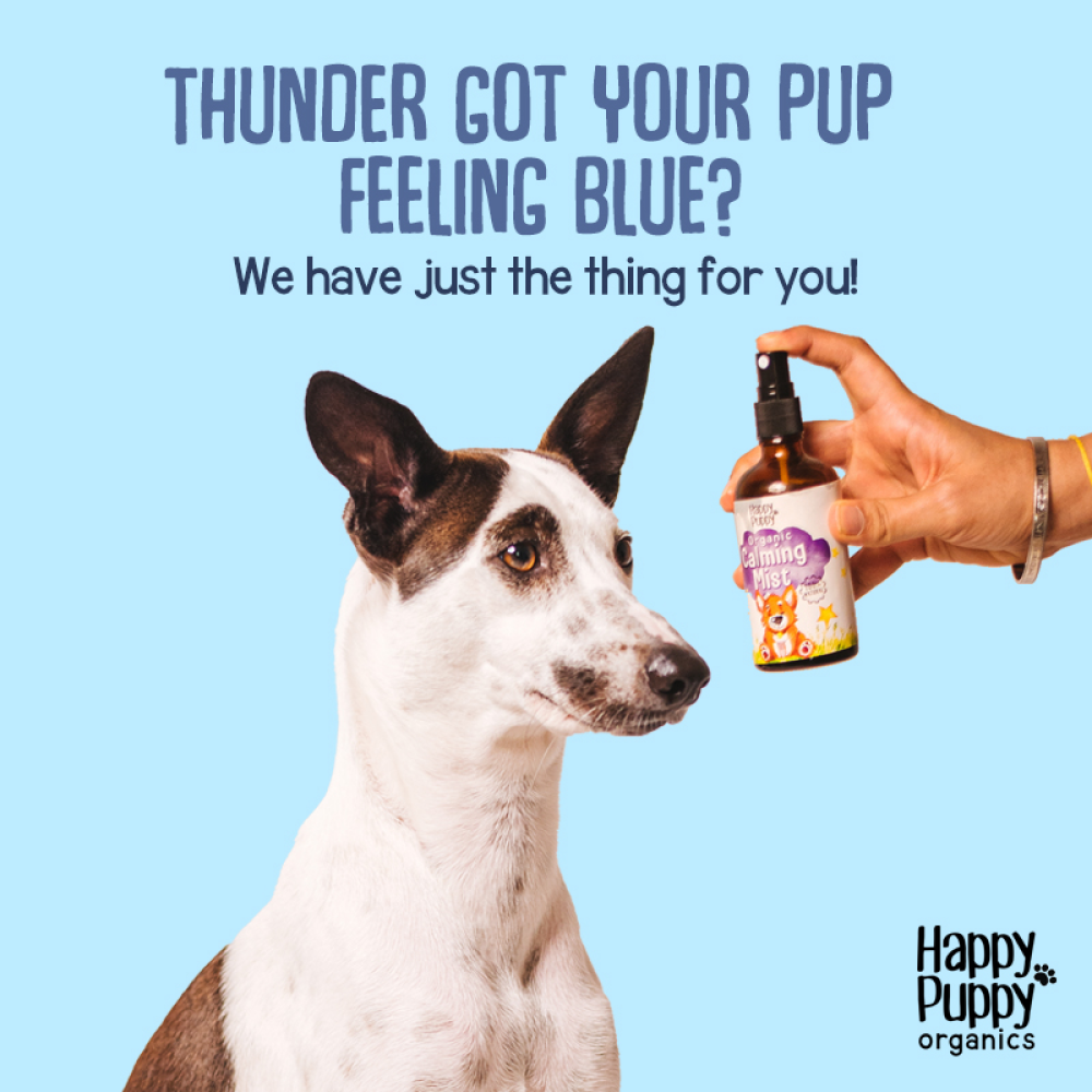 Happy Puppy Organic Calming Mist for Dogs