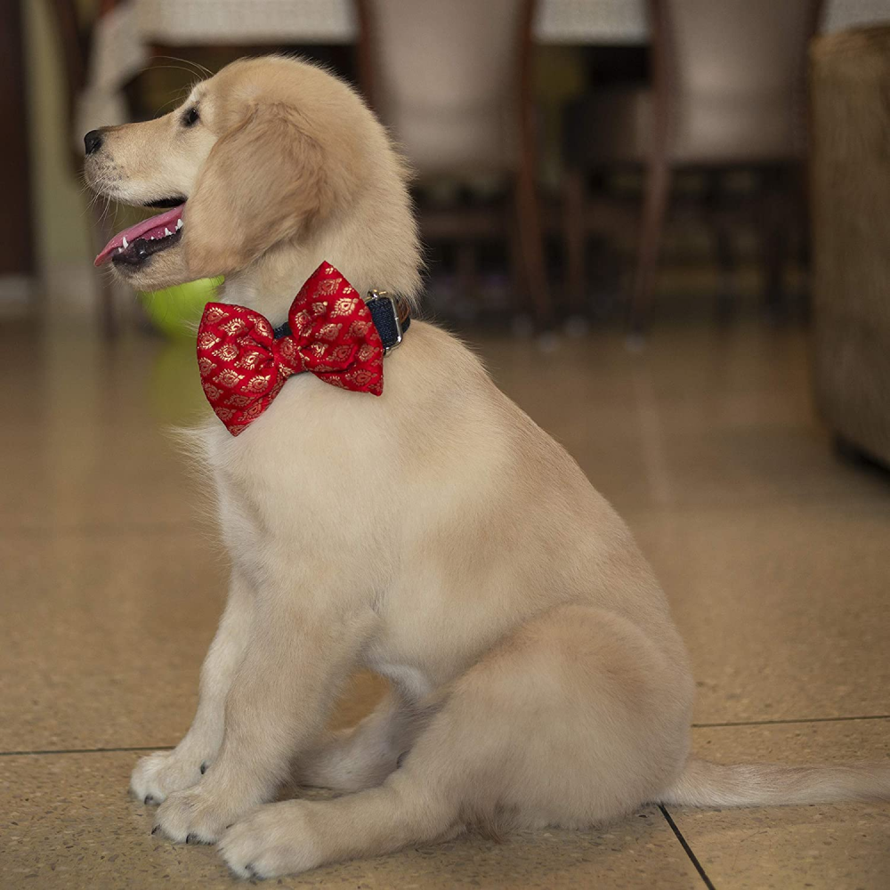 Mutt of Course Festive Red Bow For Dogs