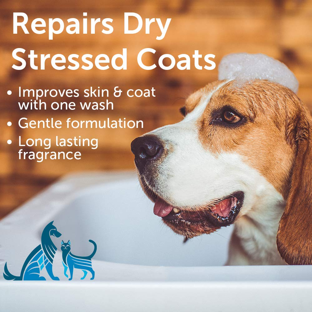 Nootie Sweet Pea & Vanilla Nourishing Pet Shampoo