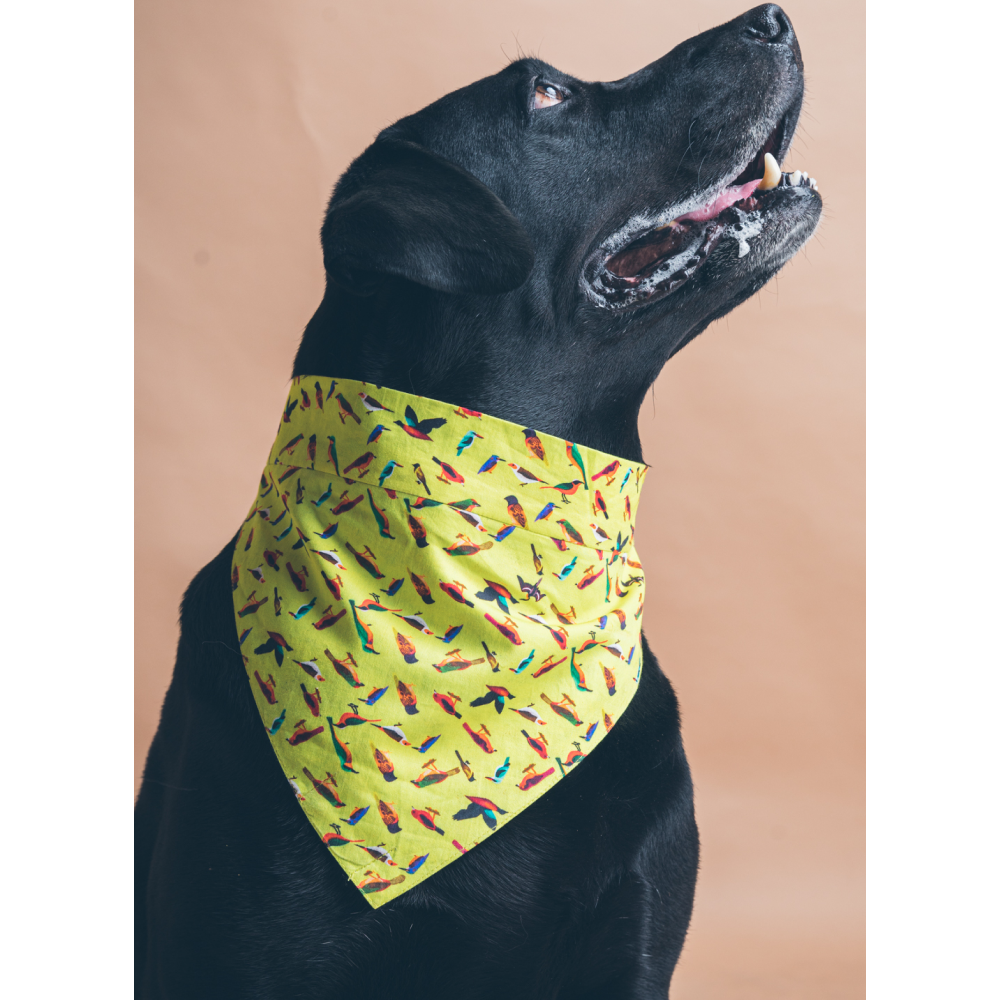 FurBuddies Birdie Baby Bandana for Dogs