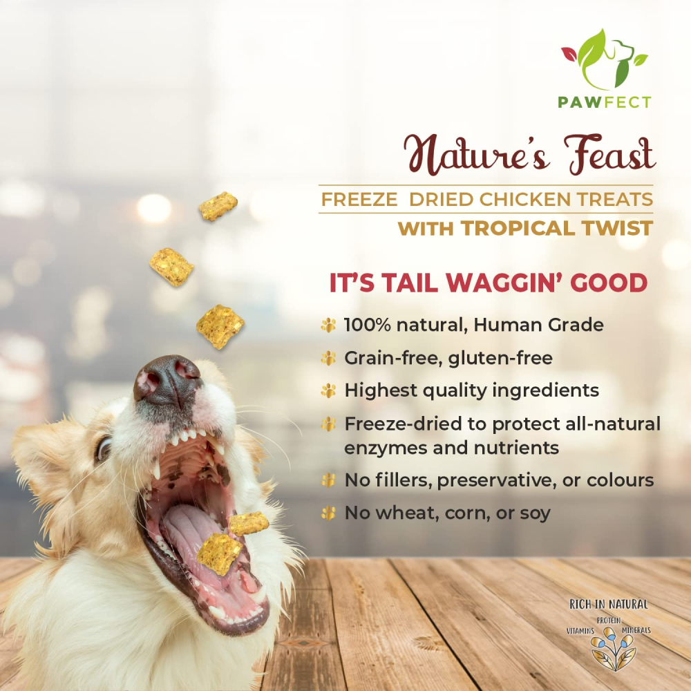 Pawfect Natures Feast Tropical Twist Dog Treats