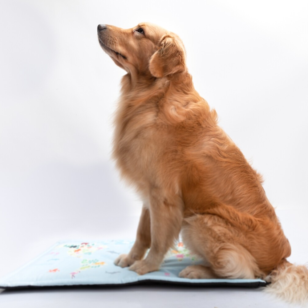 FurBuddies Fur Map Mat for Pets