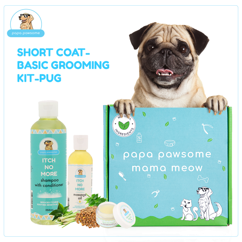 Papa Pawsome Short Coat Basic Grooming Kit (Pug)
