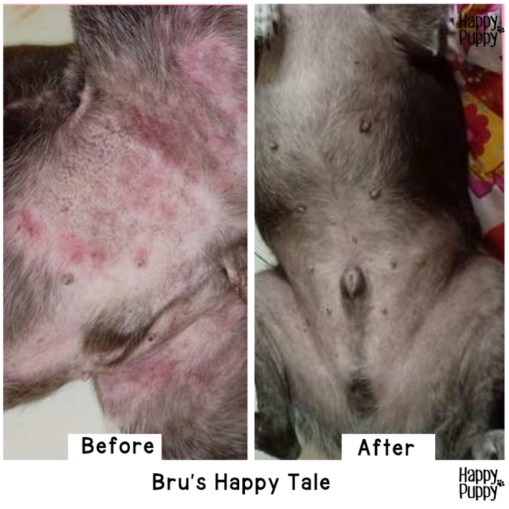 Happy Puppy Organic Hemp Healing Balm