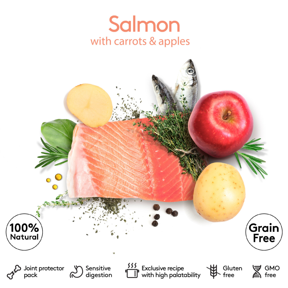 Dibaq Sense Salmon Grain Free Hypoallergenic Adult Wet Dog Food