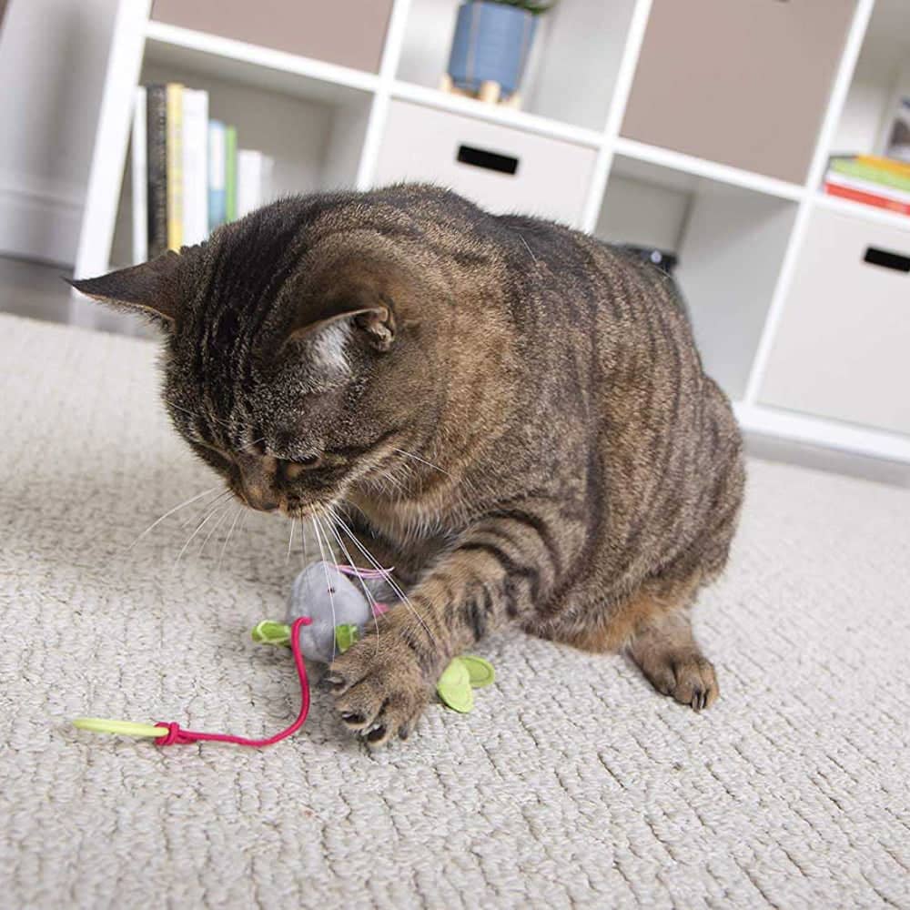 Smarty Kat Bouncy Mouse Interactive Teaser Toy for Cats
