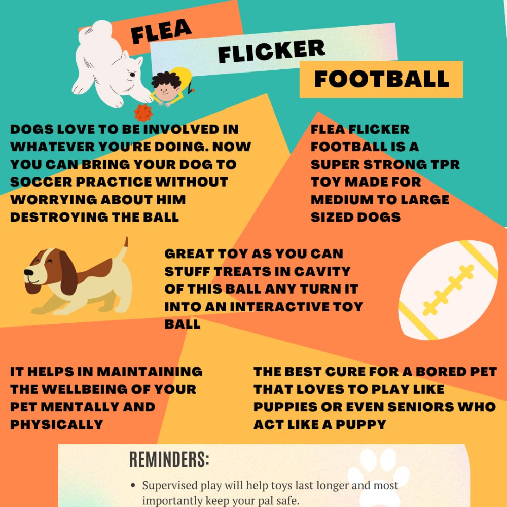 Petsport Tuff Rubber Flea Flicker Football Toy for Dogs