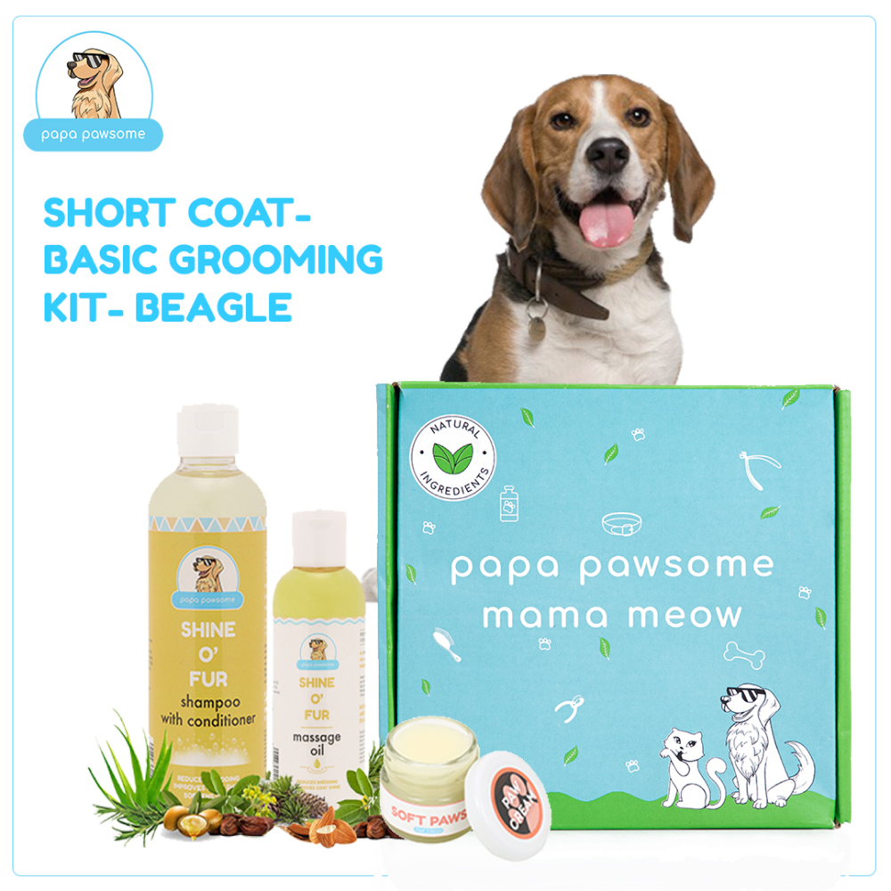 Papa Pawsome Short Coat Basic Grooming Kit (Beagle)