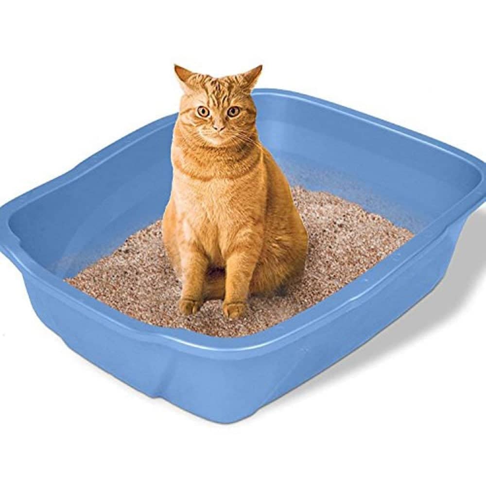 Emily Pets Rose Flavoured Fresh Scented Bentonite Cat Litter