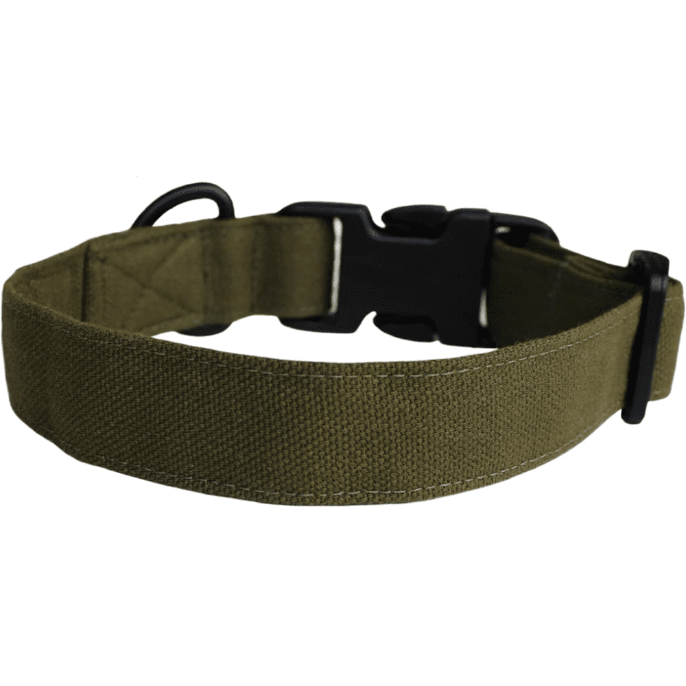 Lana Paws Rain Forest/ Olive Canvas Dog Collar