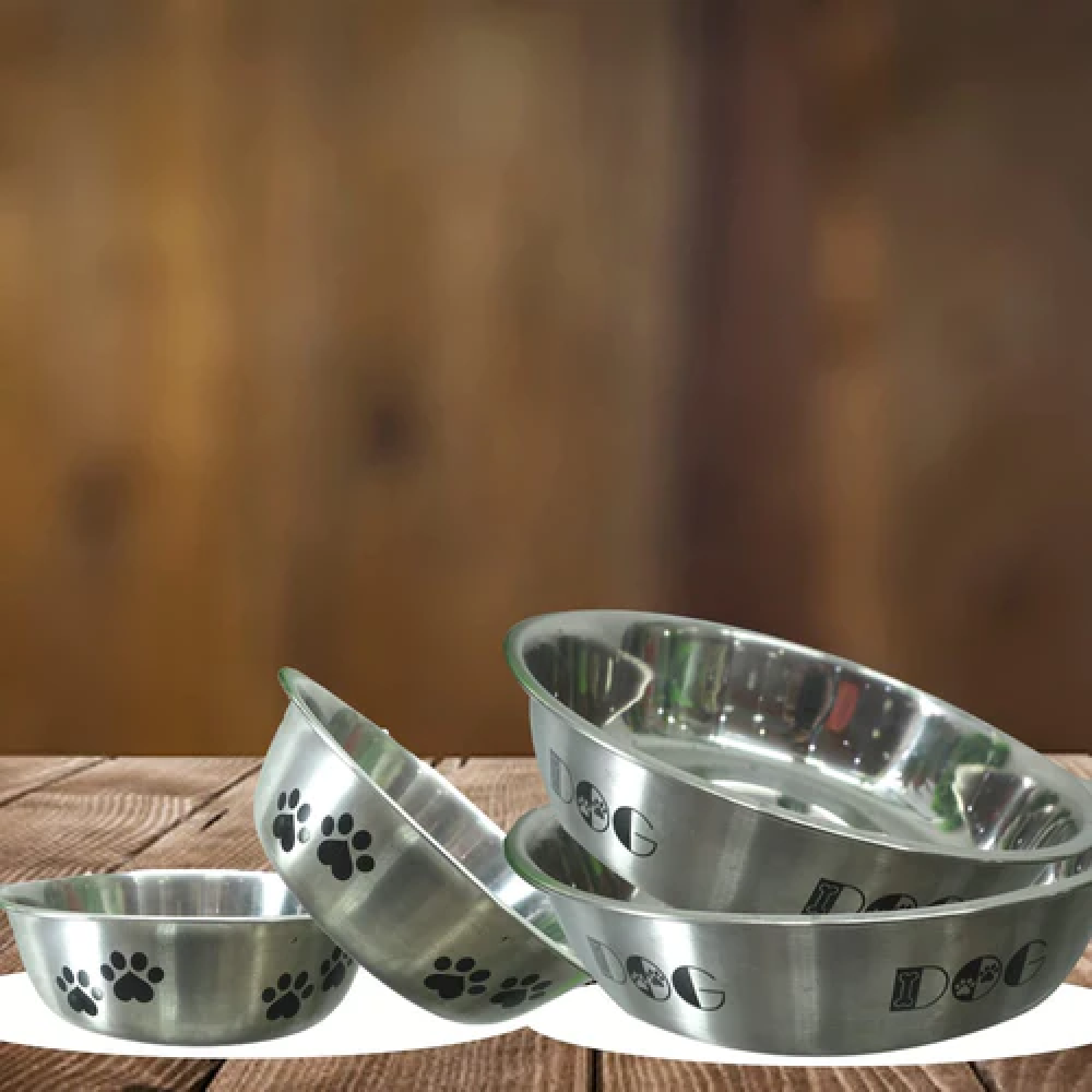 Emily Pets Dog Bowl Stainless Steel Anti Skid Bowl for Dogs