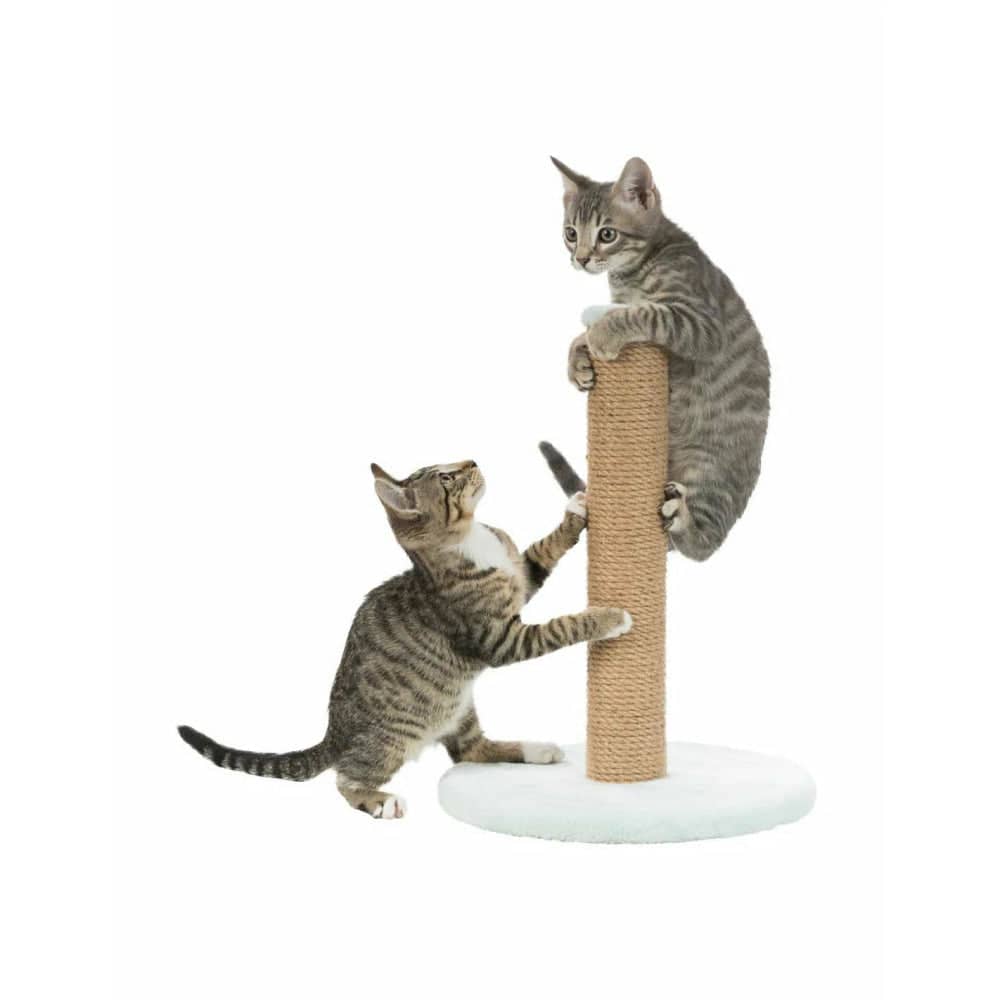 Trixie Junior Scratching Post on Plate Toy for Cats (Mint)