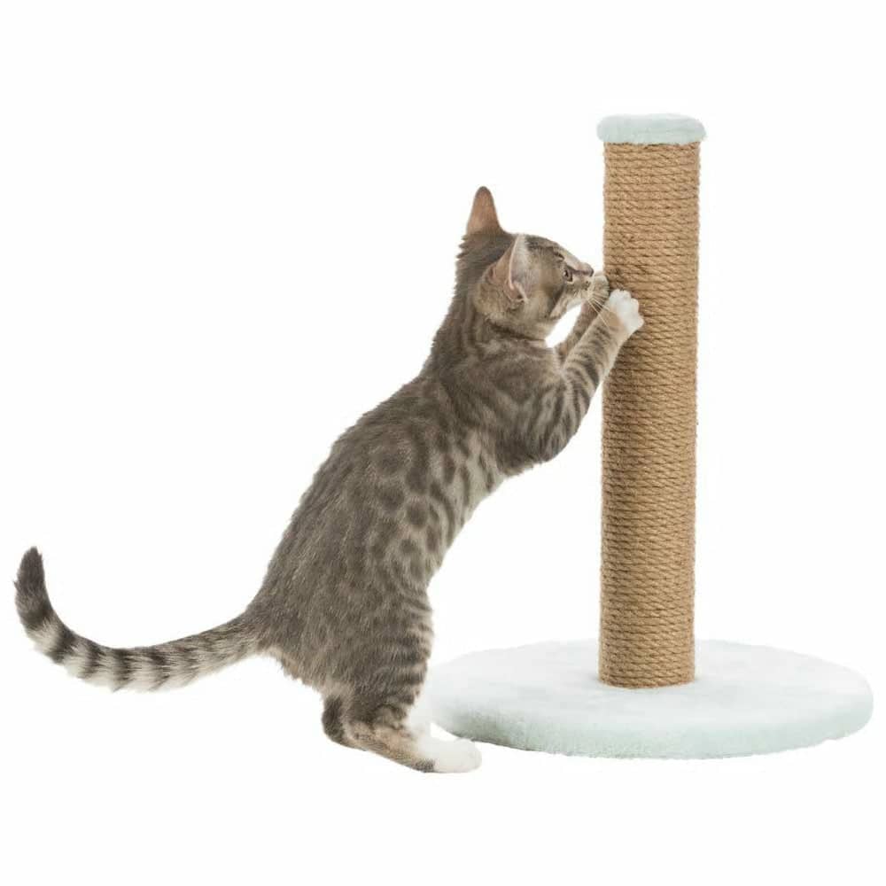Trixie Junior Scratching Post on Plate Toy for Cats (Mint)
