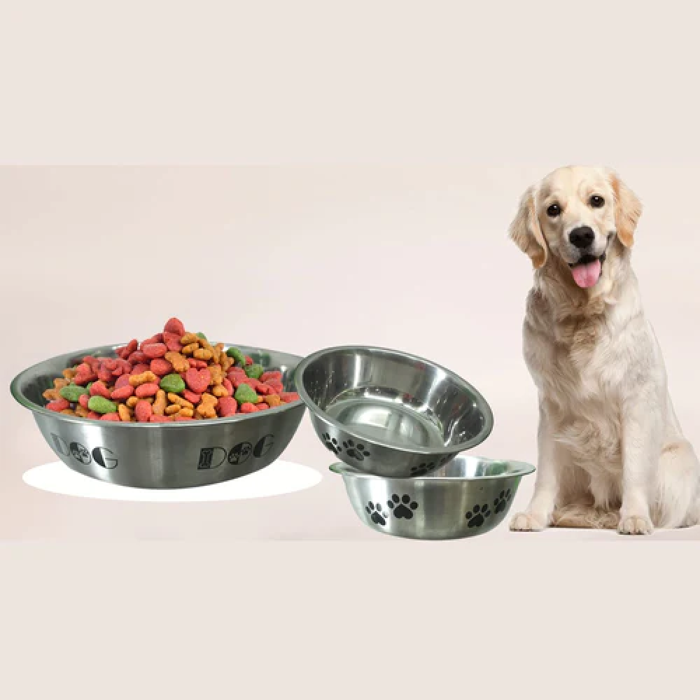 Emily Pets Dog Bowl Stainless Steel Anti Skid Bowl for Dogs