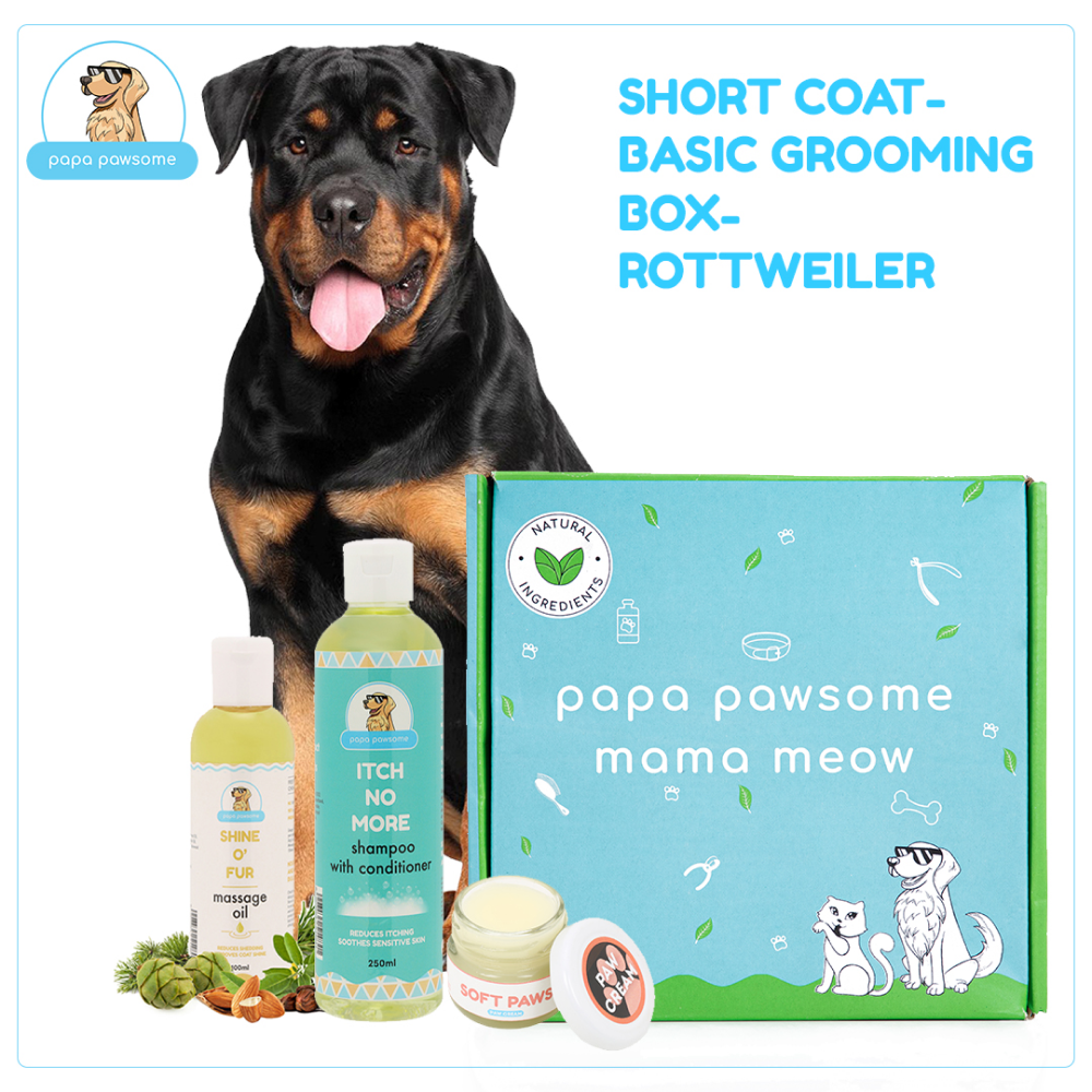 Papa Pawsome Short Coat Basic Grooming Kit (Rottweiler)