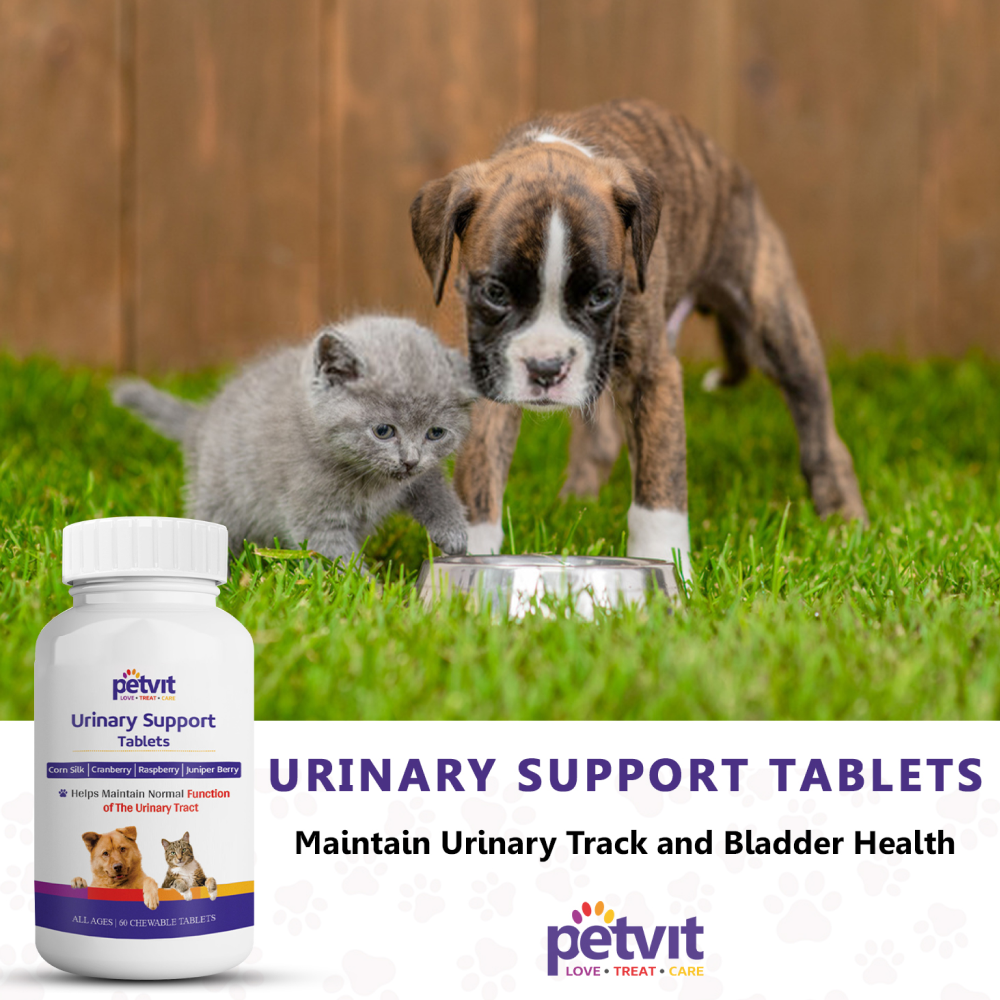Petvit Urinary Support Tablets for Pets