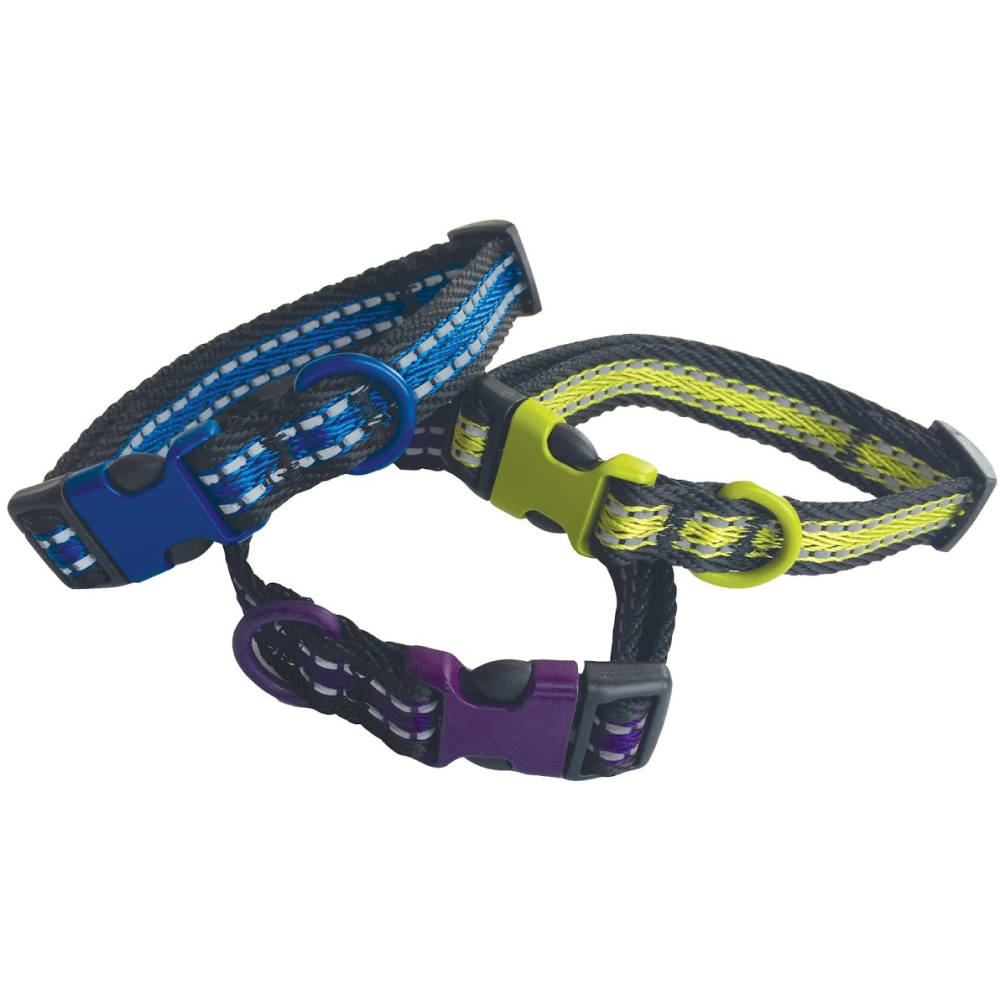 M-Pets Highway Collar for Dogs (Assorted)
