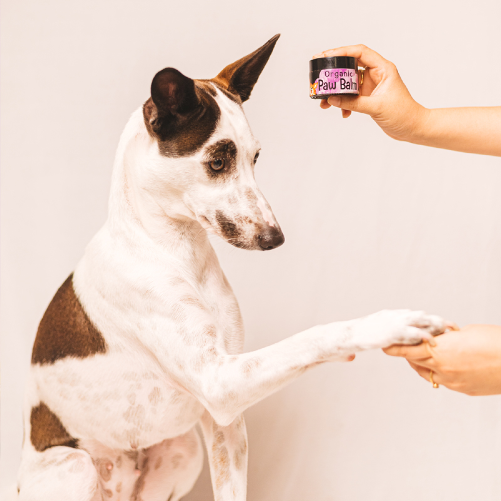 Happy Puppy Organic Paw Balm