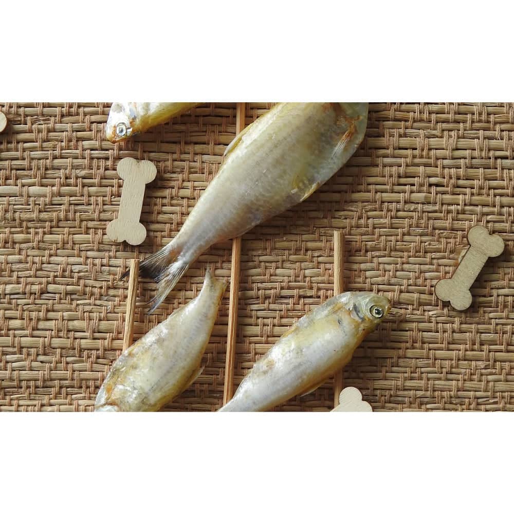 Skylish Anchovies Dog Treats