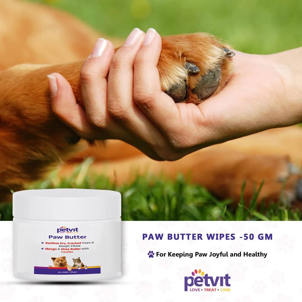 Petvit Mango Shea Butter & Lemon Grass Oil Paw Butter for Pets (Buy 1 Get 1 Free)