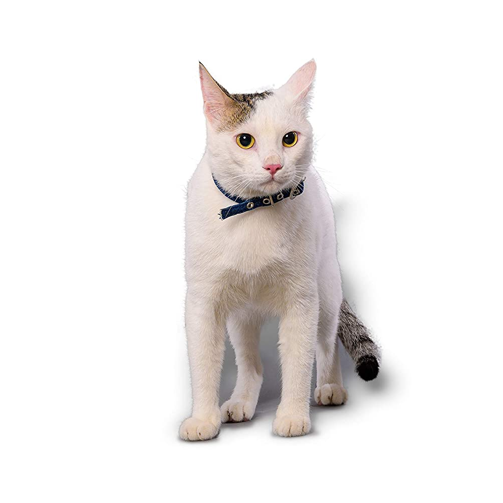 PetWale Collar for Cats (Blue Denim)