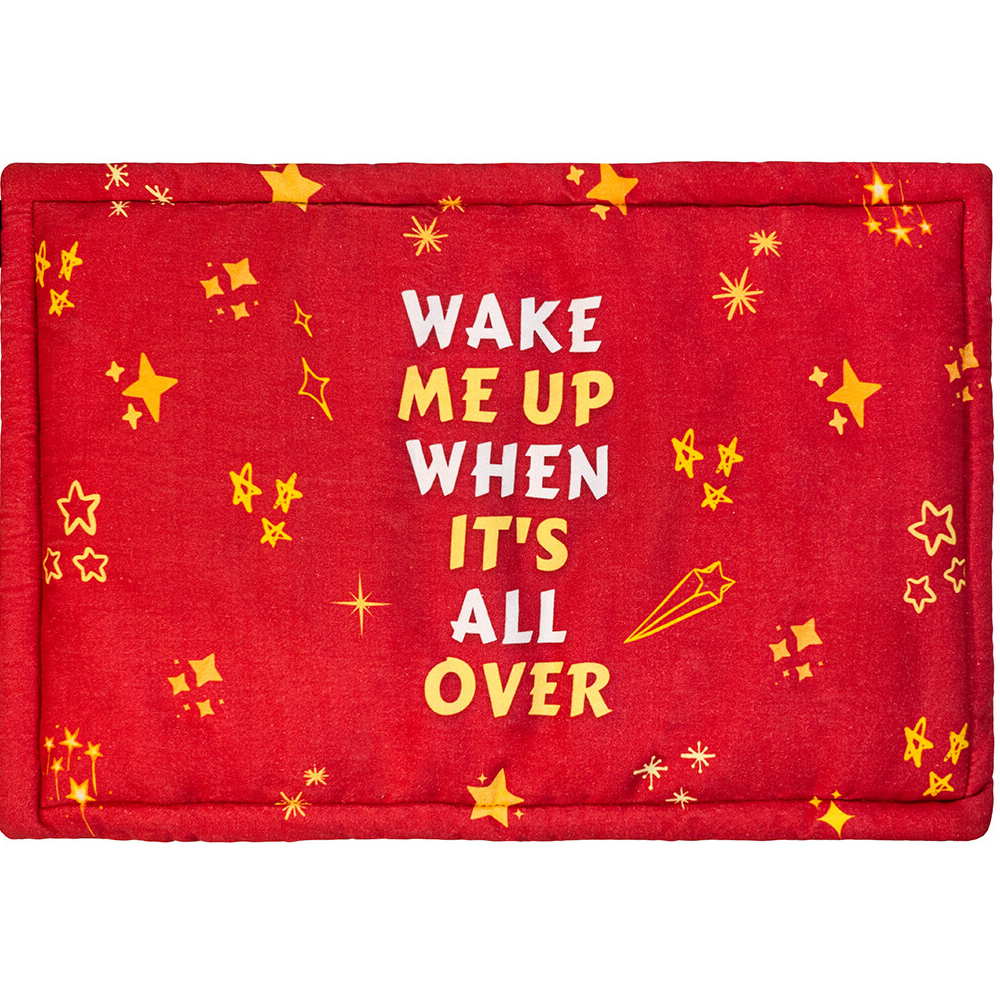 FurBuddies Wake Me Up When It’s All Over Mat for Pets