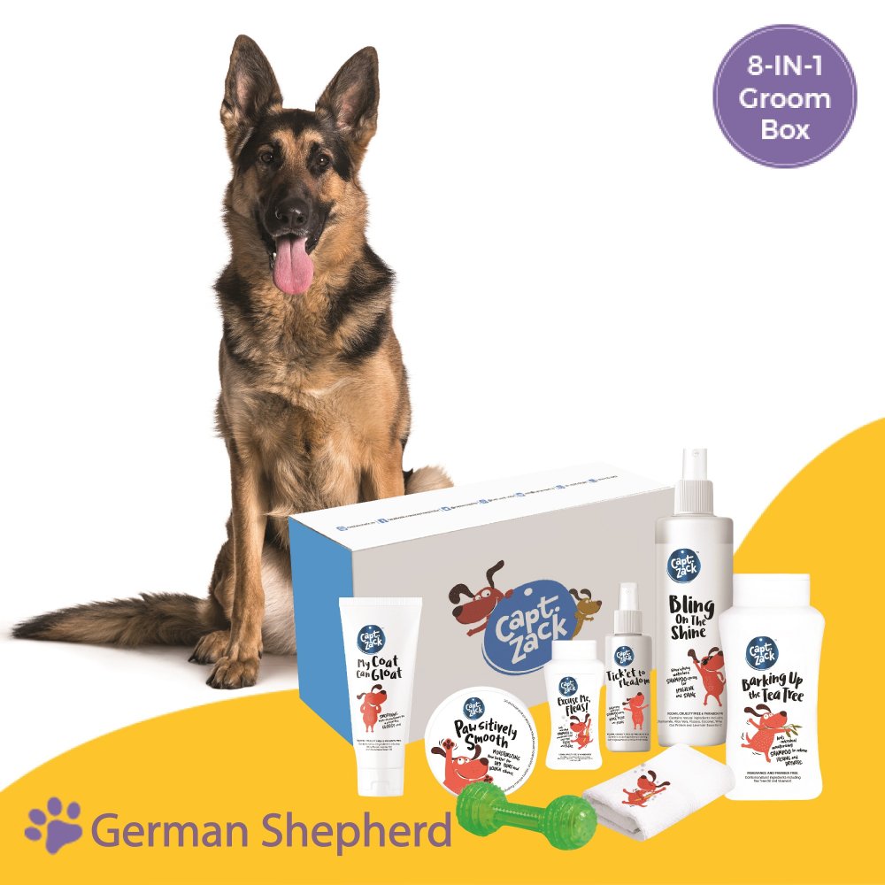 Captain Zack The German Shepherd Groom Box for Dogs