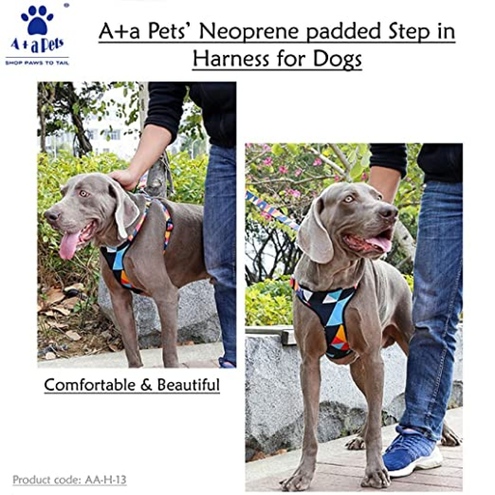 A Plus A Pets Rainbow Vest Style Step in Harness for Dogs