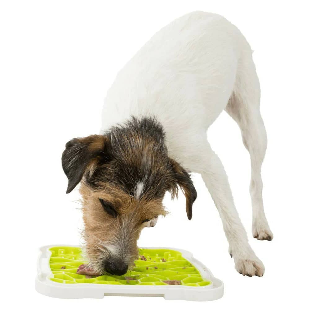 Trixie Lick N Snack Platter for Dogs (20x20 cm)