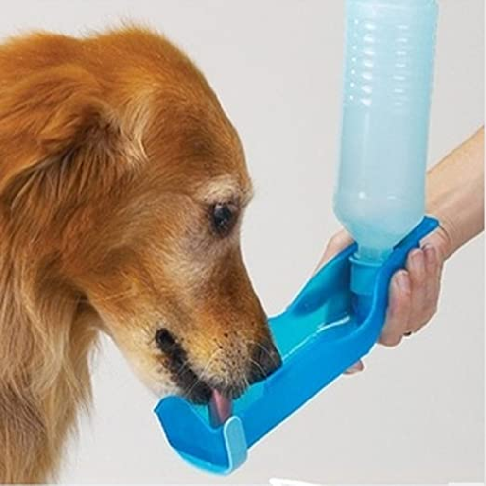 Pets Empire Foldable Water Bottle for Pets