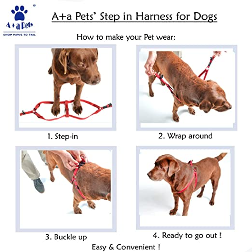 A Plus A Pets Rainbow Vest Style Step in Harness for Dogs