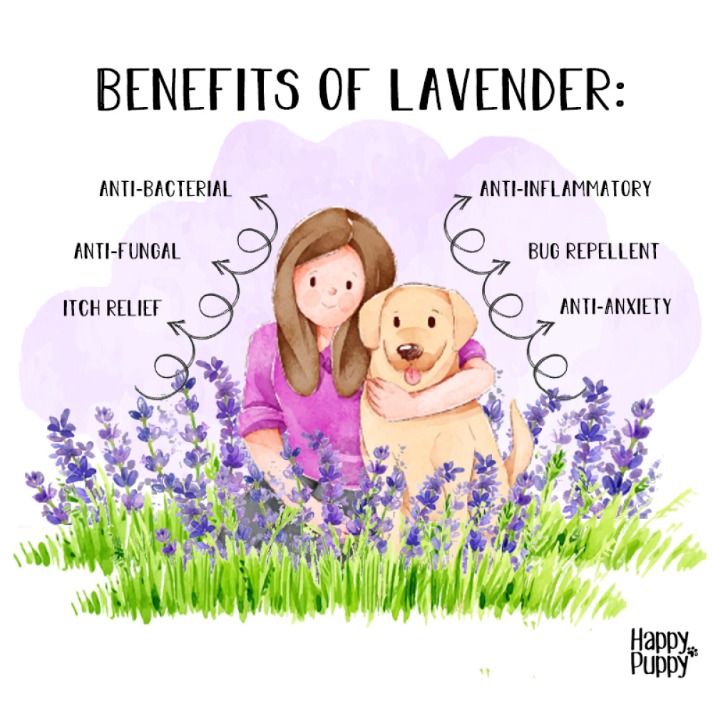 Happy Puppy Organic Shiny Fur Spa Massage Oil - Lavender