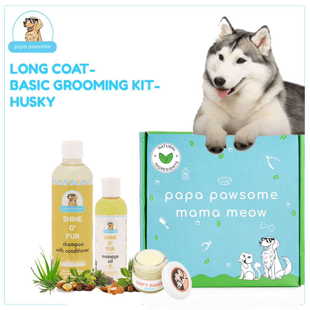 Papa Pawsome Long/Drop Coat Basic Grooming Kit (Husky)