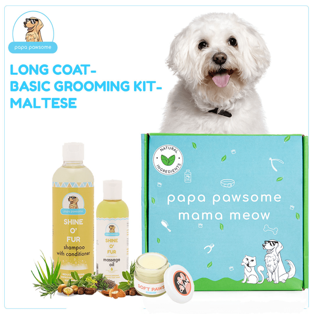 Papa Pawsome Long/Drop Coat Basic Grooming Kit (Maltese)